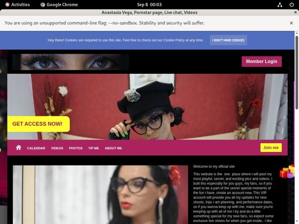 Anastasiavegax.modelcentro.com Cost