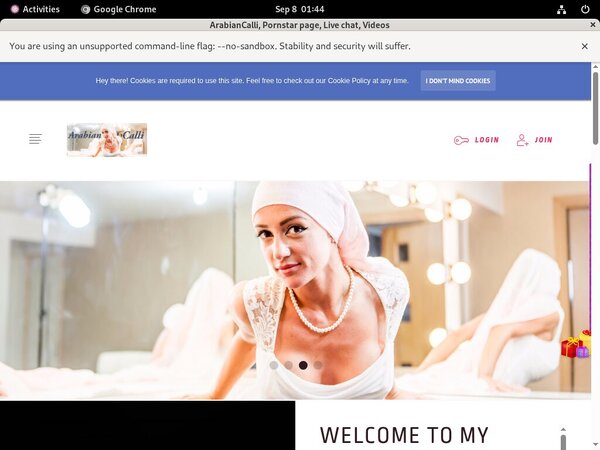 Arabiancalli.modelcentro.com Coupons Arabiancalli.modelcentro.com Coupons