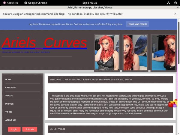Ariel Site Passwords