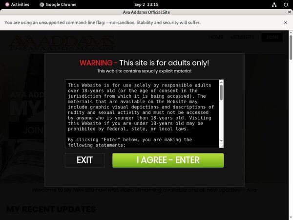 Ava Addams Back 4 More