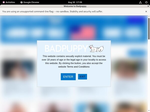 Badpuppy Web Billing