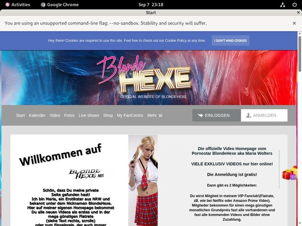 BlondeHexe Daily Passwords