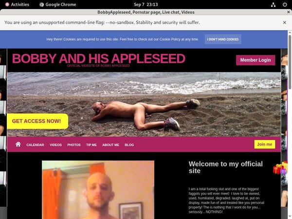 Bobbyappleseed.modelcentro.com Renew