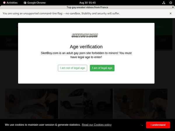 Boy Sket Login Password