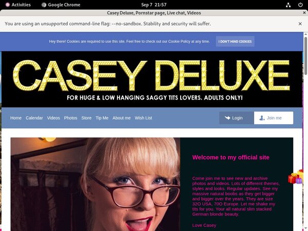 Casey Deluxe Password Username Casey Deluxe Password Username