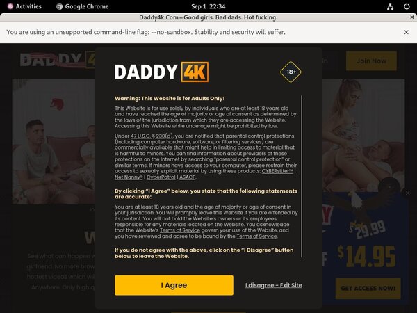 Daddy 4k Webcam