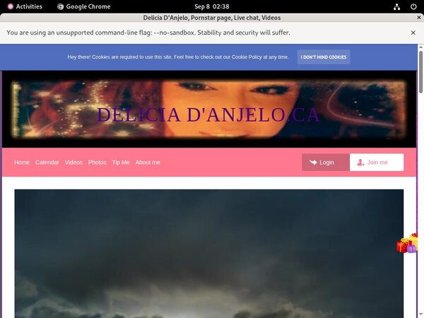 Delicia D'Anjelo Network Password