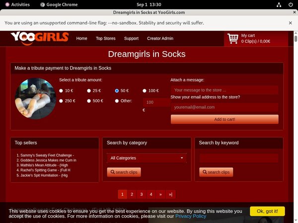Dreamgirls In Sockspasswords