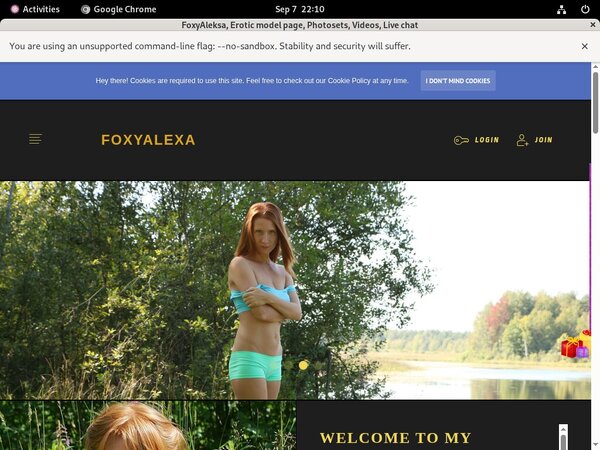 FoxyAleksa Checkout Form