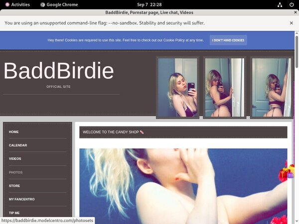 Fre BaddBirdie Login And Password