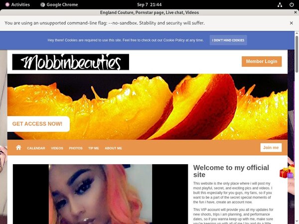 Free Englandcouture.modelcentro.com Login And Pass