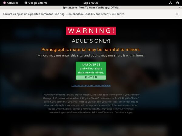 Free Spritzz Account Logins