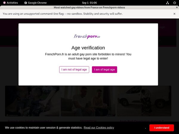 French Porn Gay Passwords For Free