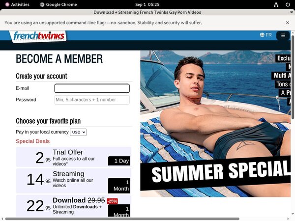 French Twinks Secure Purchase