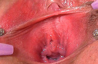 Gape My Pussy Pay Site s3