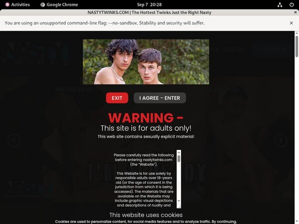 Get Into Nasty Twinks Free