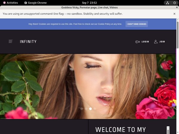 Goddess Vicky Real Passwords