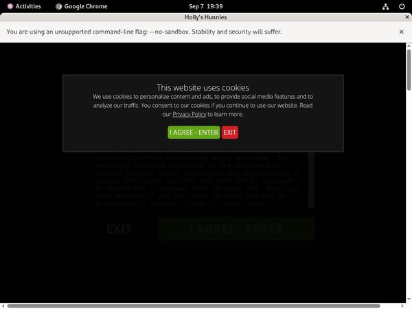 Hollys Hunnies Rocketgate Hollys Hunnies Rocketgate