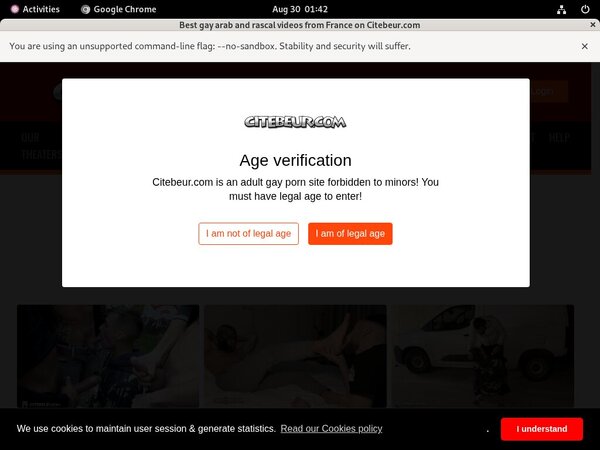 How To Access Citebeur