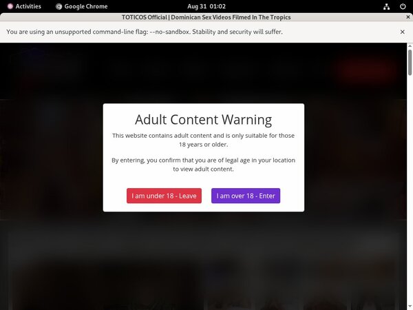 How To Get Free Totico's Account