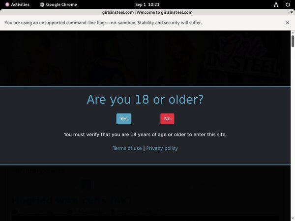 How To Get On Girls In Steel For Free