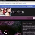 Kitten Alice Discount Deal
