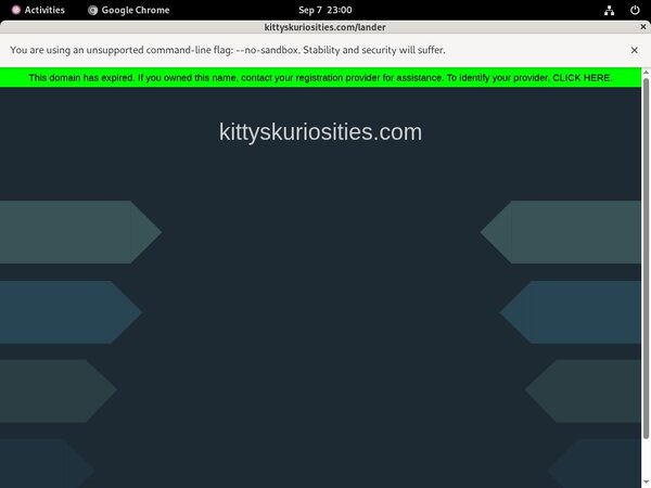 Kuriosities Kitty's With Paypal