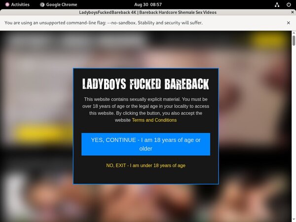 Ladyboysfuckedbareback.com Password Login