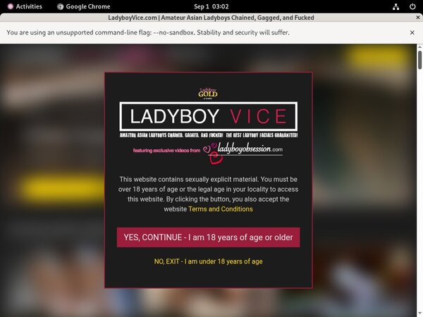 Ladyboyvice.com Mobile Account