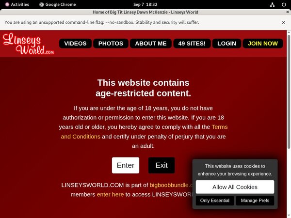 Linseysworld Member Access