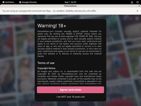 Login For Kimswallows.com