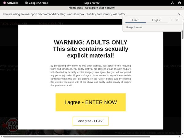 Mental Passporn