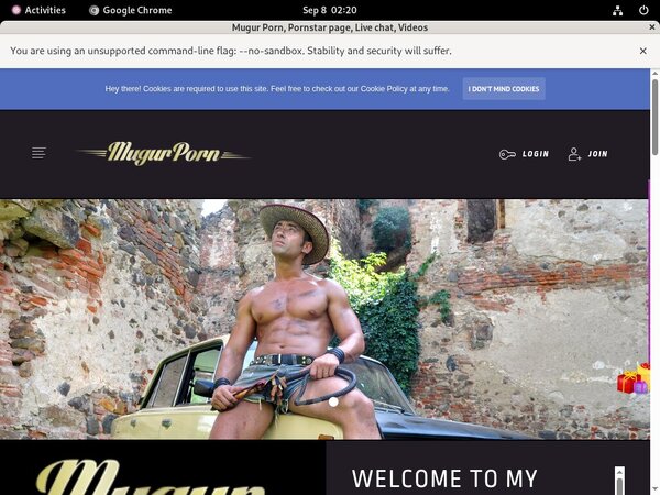 Mugursworld Payment Page