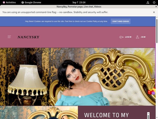 NancySky Site Rip Download