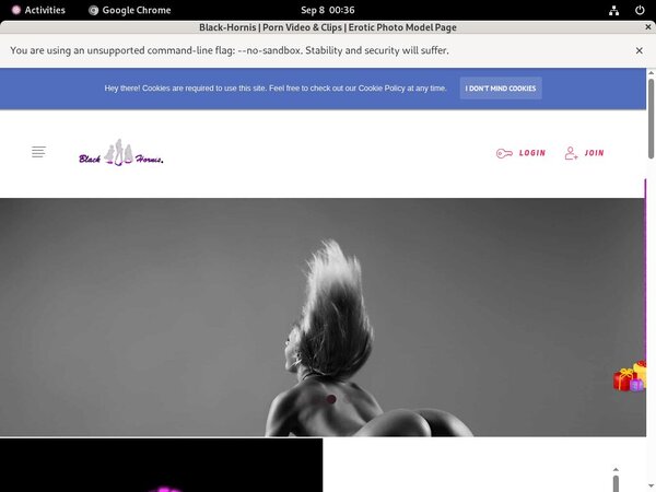New Black-hornis.net Accounts