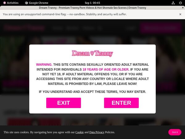Password For Dream Tranny