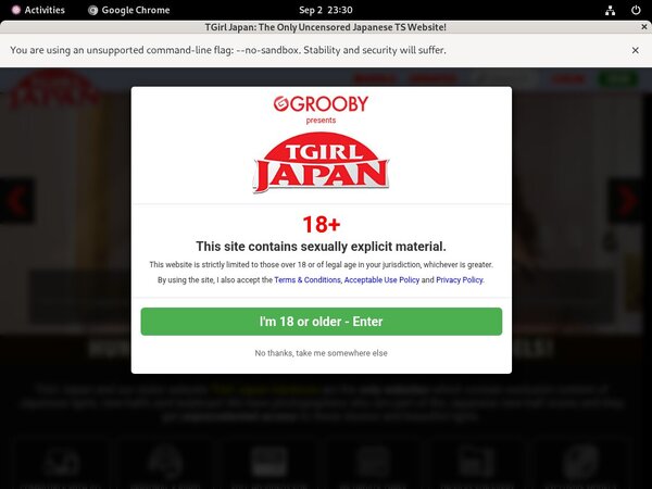 Premium Tgirljapan Passwords