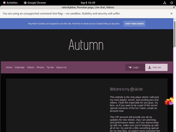 Raincitybbw.modelcentro.com Alternate Payment