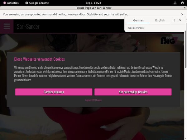 Sari Sander Free Trial Acc