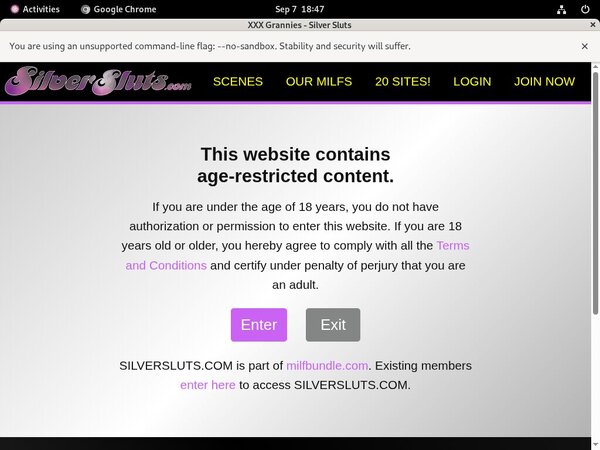 Silver Sluts Premium Passwords Silver Sluts Premium Passwords