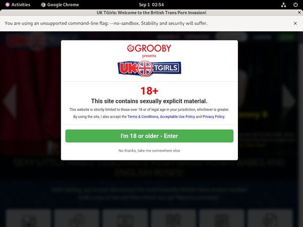 TGirls UK Login Codes