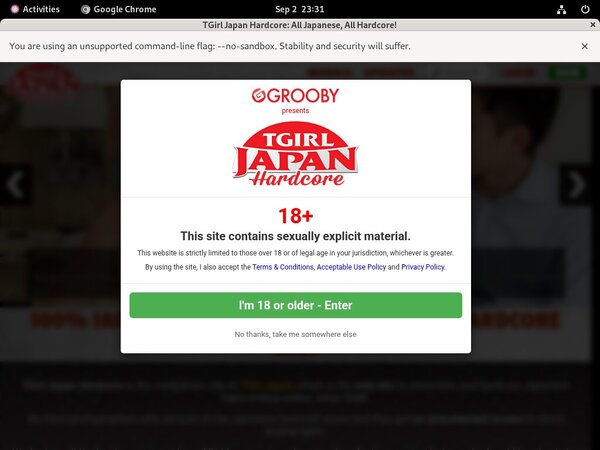 Tgirljapanhardcore Paypal Offer