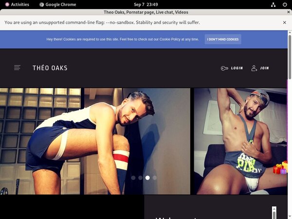 Theooaks.modelcentro.com Site Rip Url