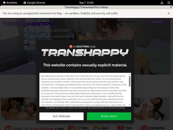 Trans Happy Real Passwords