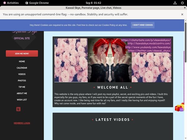 Try Free Kawaii Skye Try Free Kawaii Skye