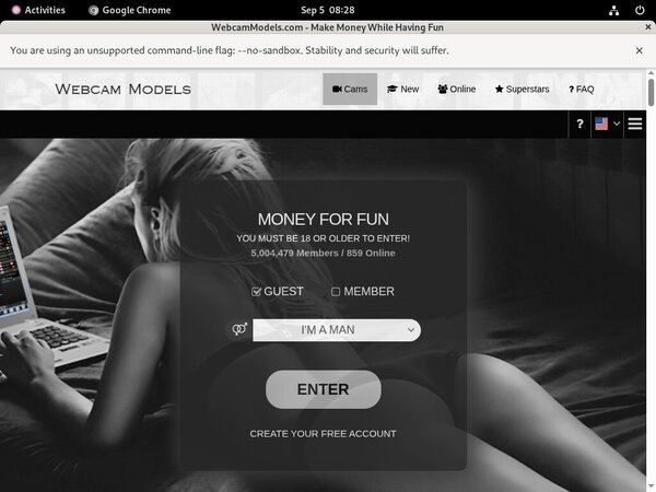 Webcam Models Accounts Password