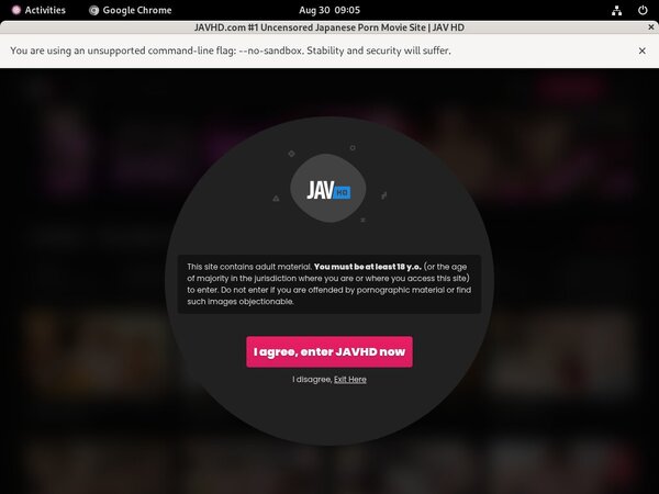 What Is JAV HD