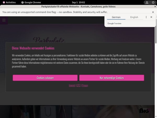 Who Is Parkplatzluder19.com