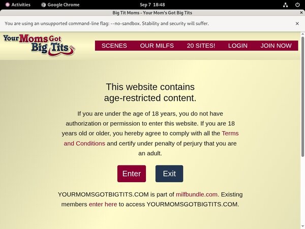 Your Moms Got Big Tits Photo