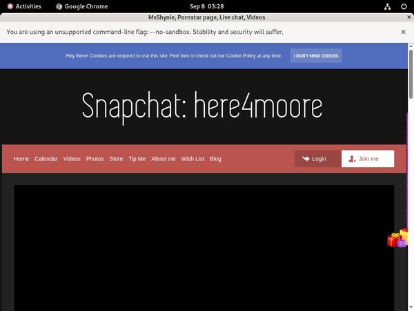 Accounts For Shynie.modelcentro.com